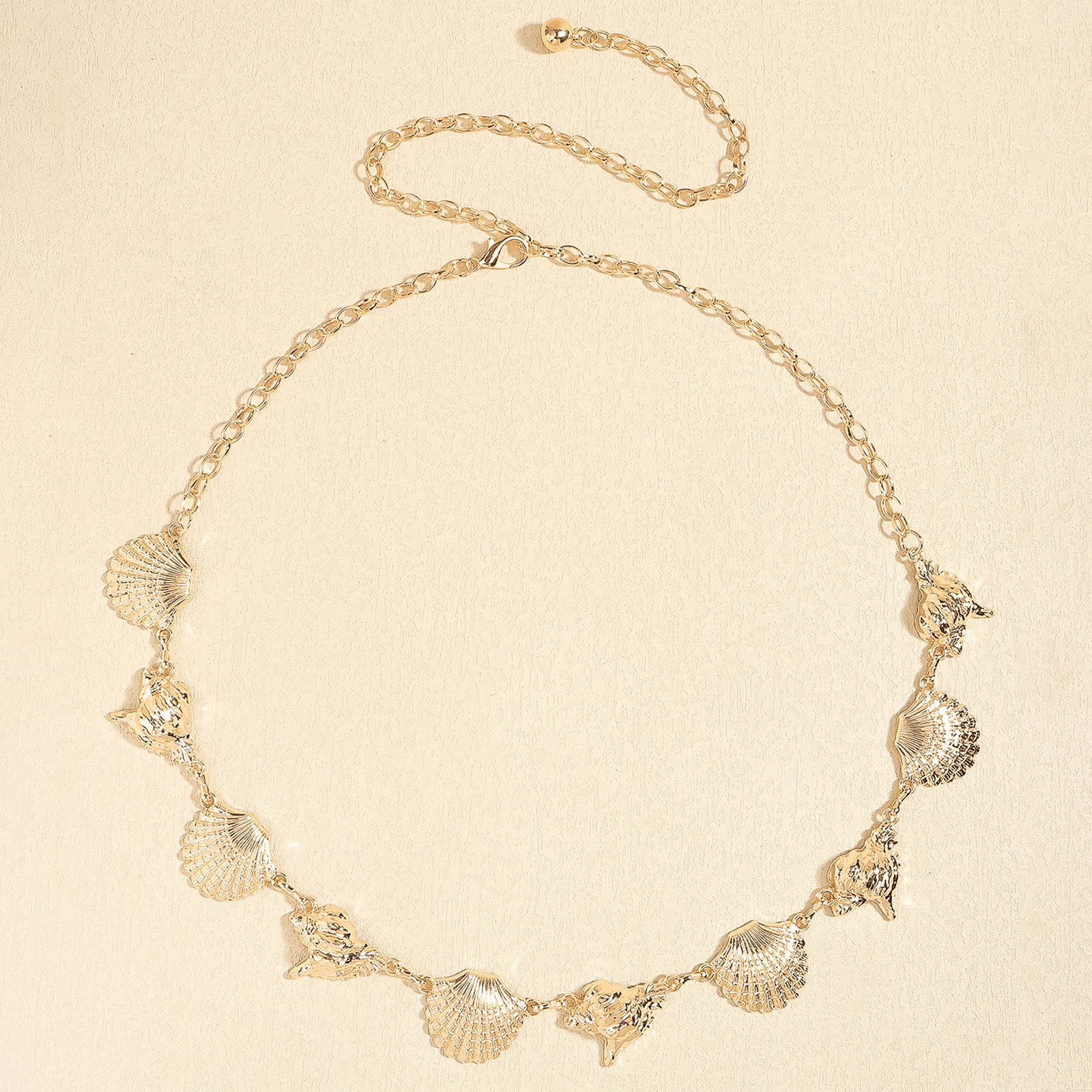 Bijou de Taille Coquillages