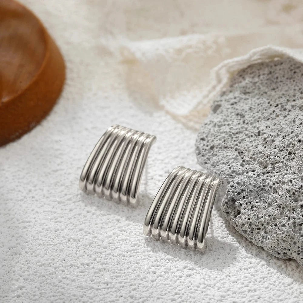 Boucle d&#39;Oreille Acier Inoxydable