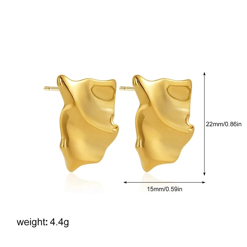 Boucle d&#39;Oreille Acier Inoxydable