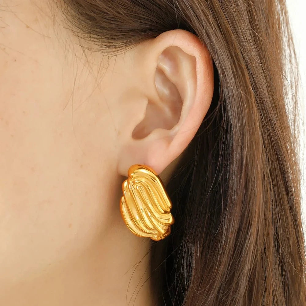 Boucle d&#39;Oreille Acier Inoxydable Pendante