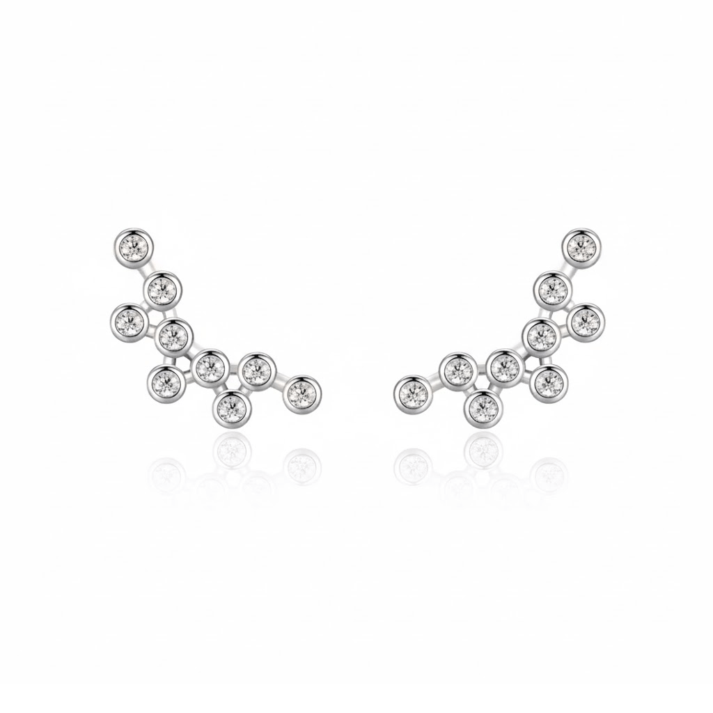 Boucle d'Oreille Grimpante Argent Sterling