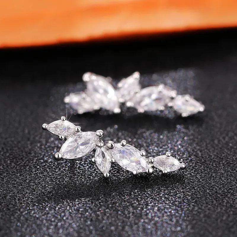 Boucles d'Oreille Grimpante