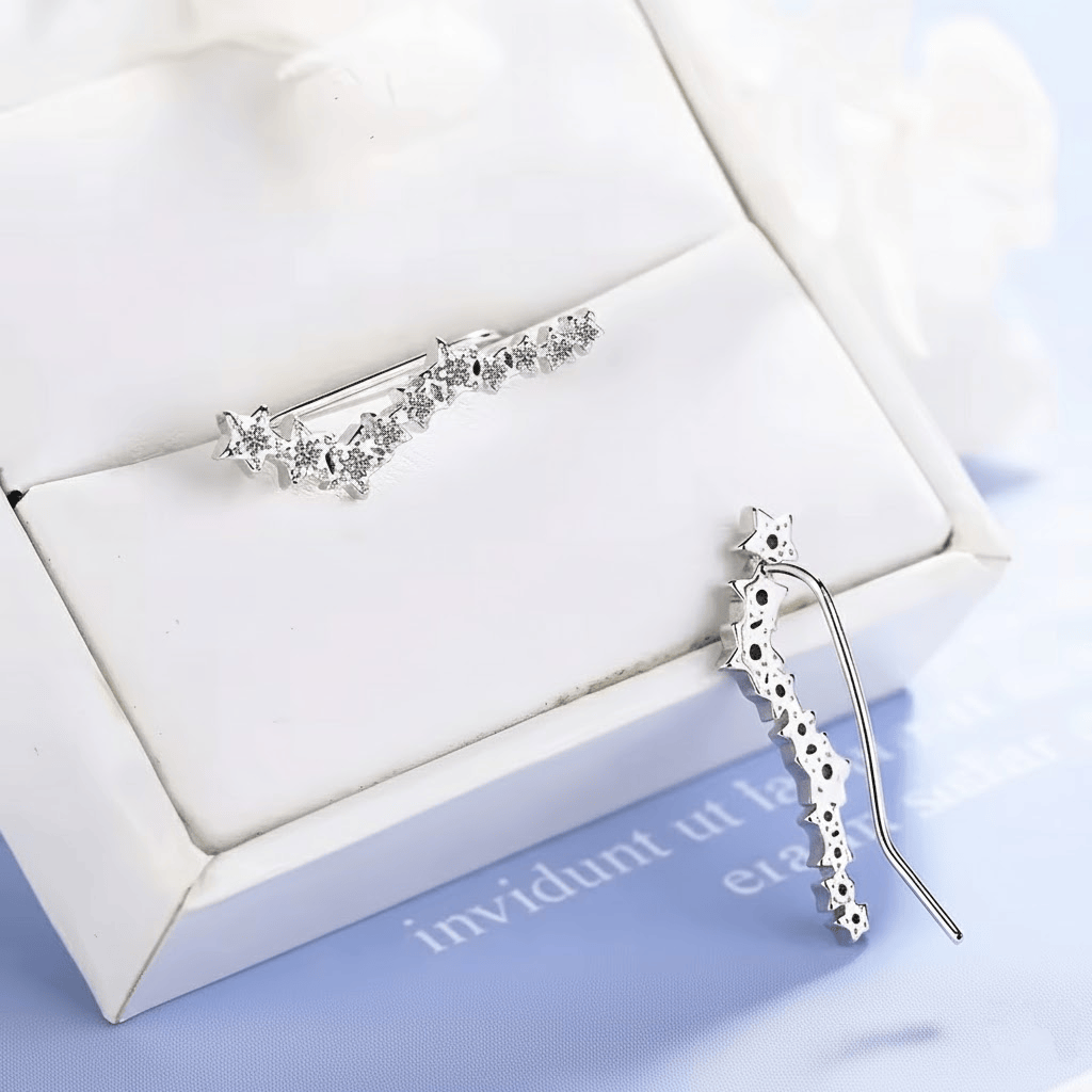 Boucles d&#39;Oreille Grimpante Strass