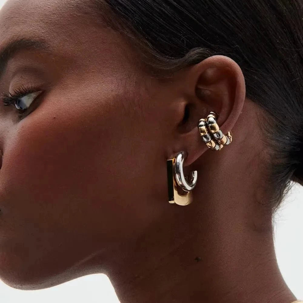 Boucles d&#39;Oreilles Bicolore