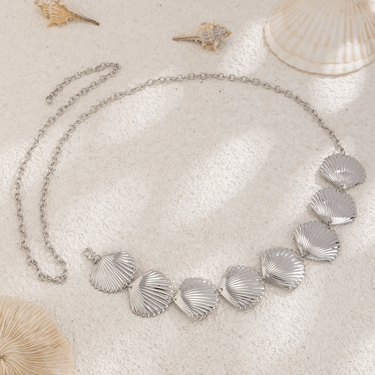 Chaine de Ventre Coquille