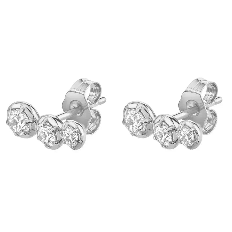 Petites Boucles d'Oreilles Grimpantes